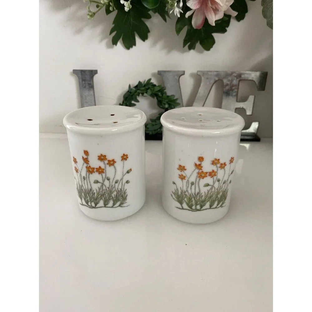 Takashi‎ Ceramic Salt and Pepper Shakers Orange Flowers